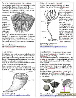 Info Page image
